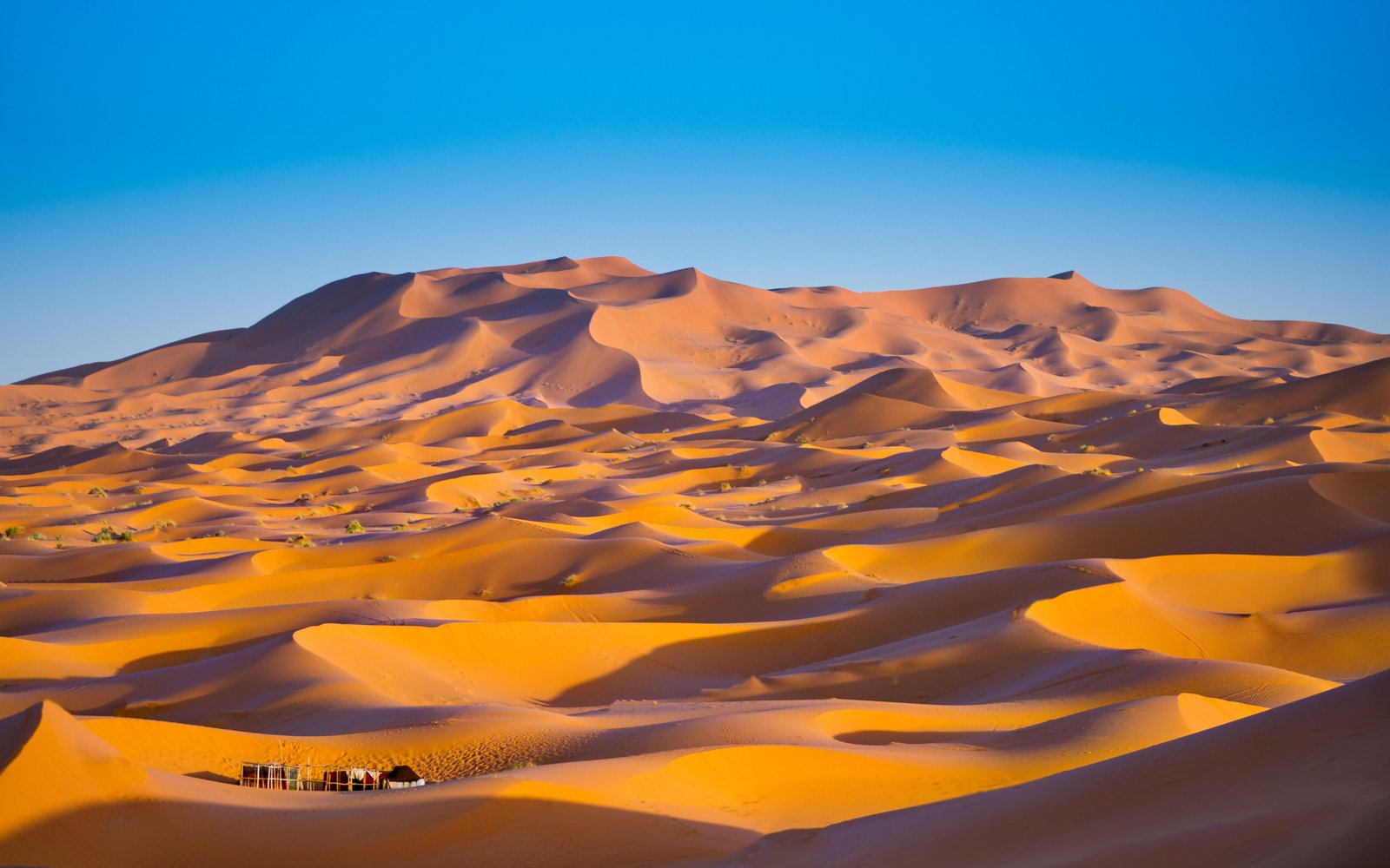 Merzouga Desert